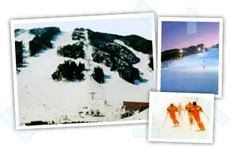 兵庫県の旅館「瀧長」周辺｜ちくさ高原スキー場